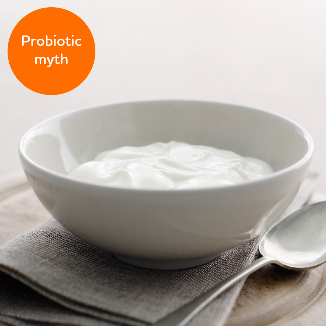 Probiotic myth: Lactic Acid Bacteria Are Probiotics