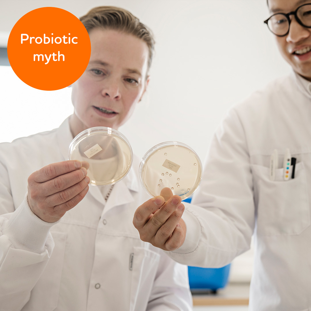 Probiotic myth: I get the same result no matter which probiotic supplement I take