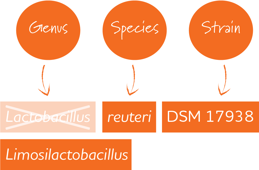 Lactobacillus Taxonomy Change